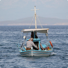 In Aegean Sea, Calls For Greek-Turkish Collaboration On Balloon Fish Threat